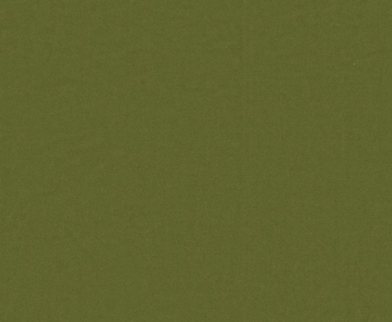 Image of Evergreen Easy Chair in OG & C730