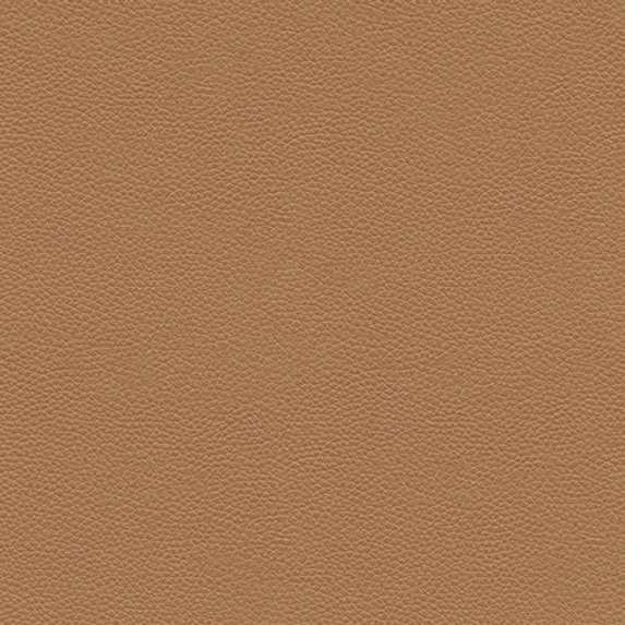 Image of Enna Armchair in CM & L910