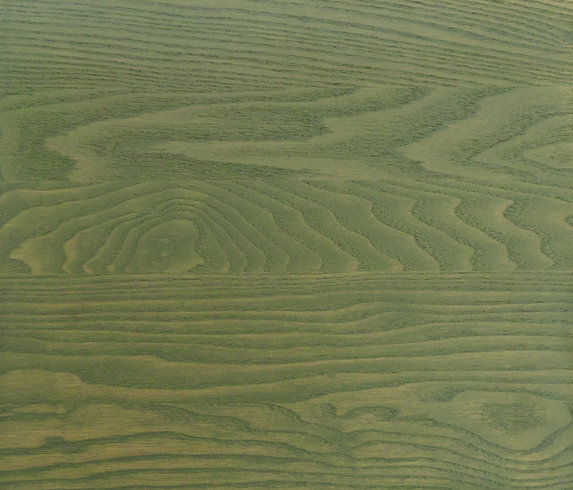 Image of Windsor Dining Chair in MG Moss Green