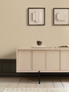 Thumbnail image of Canvas Media Unit