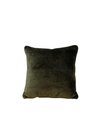 Thumbnail image of 0330 Scatter Cushion S003 Green
