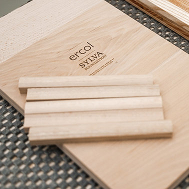 ercol x Sylva Foundation
