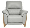 Thumbnail image of Enna Armchair in CM  & Grey Leather  L956