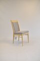 Novoli  Padded Back Dining Chair - C712 CM ASH