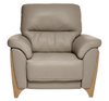 Thumbnail image of Enna Armchair in CM & L953 Leather