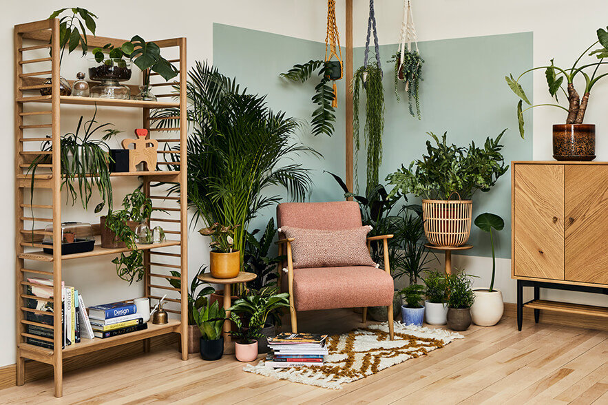 A living space containing a Marlia chair, Ballatta shelving unit and Monza universal cabinet, surrounded by plants