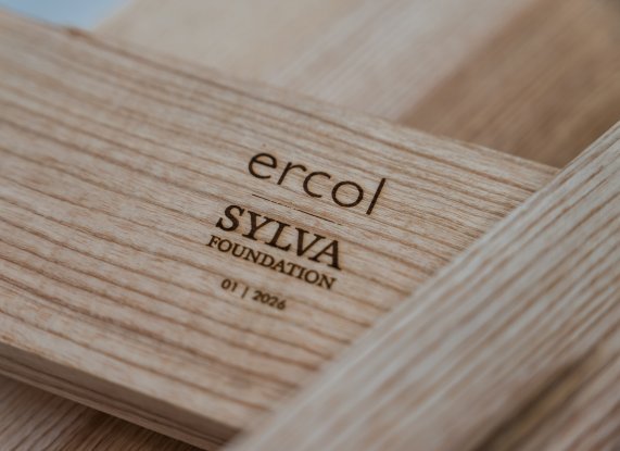 Sylva Foundation printed on a piece of wood