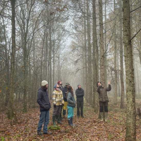 The Sylva Foundation prioritises sustainable practices and responsibly sourced timber