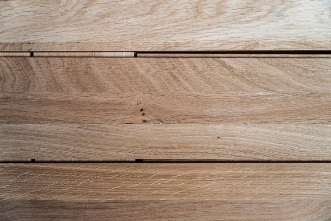 Medullary rays are created by special cells that transport the water and nutrients sideways across the growing tree 