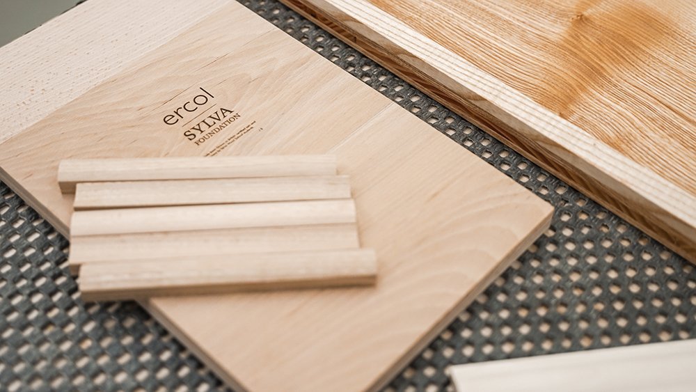 ercol x Sylva Foundation wood samples